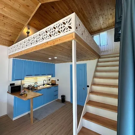 Sea Life Homes