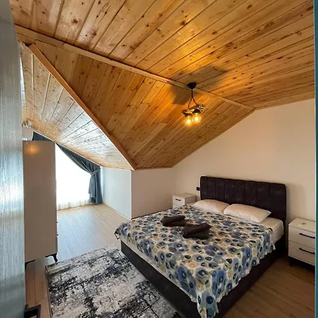 Sea Life Homes *